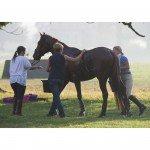 Training & Fitness for the Event Rider