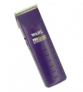 Prepare Your Horse For Showing Naylors Blog Naylors