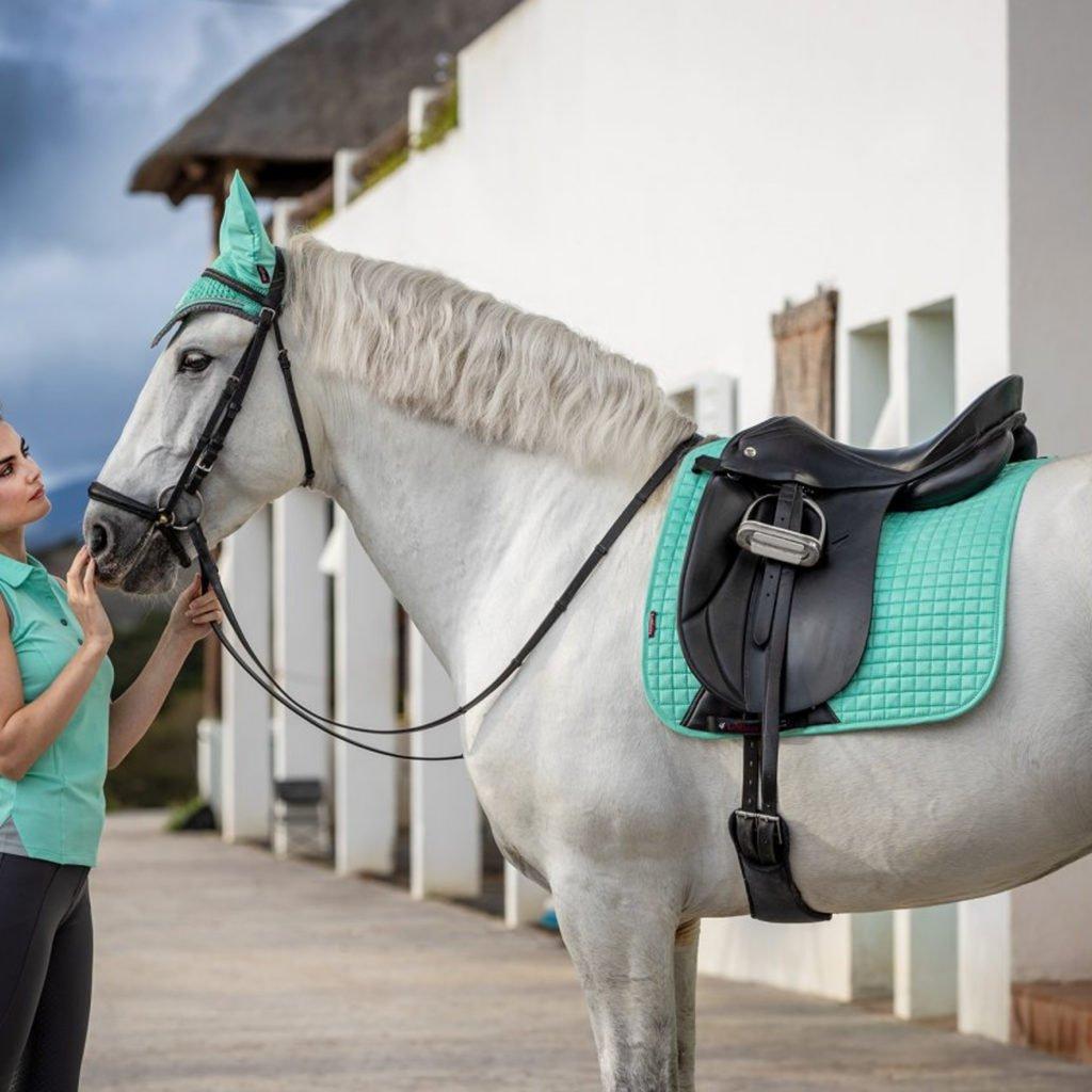 The New LeMieux Colour Collection Coming Soon! Naylors Blog Naylors