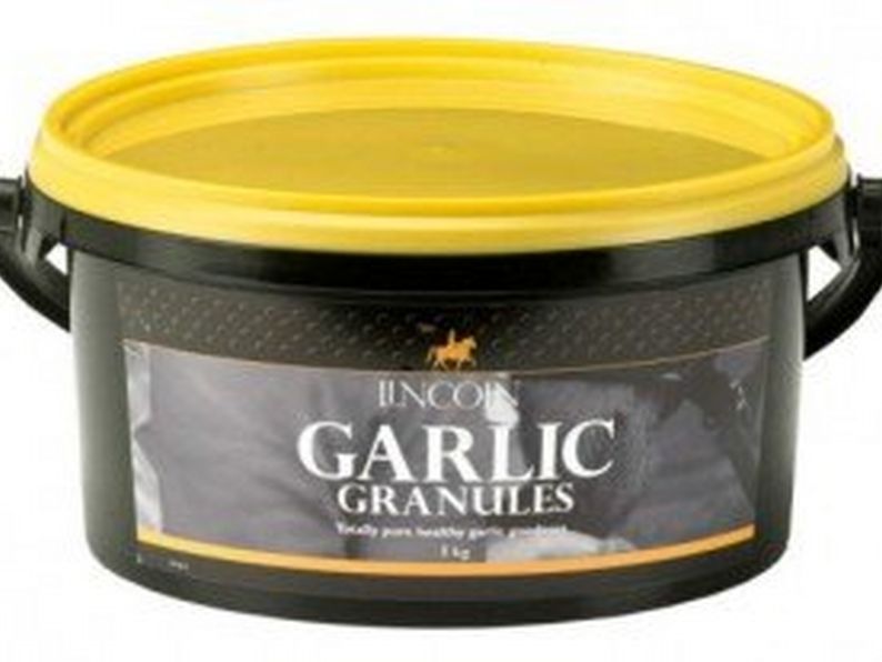 Garlic Granuels