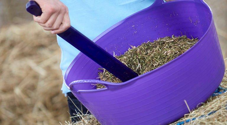 Feeding For Poor Dentition