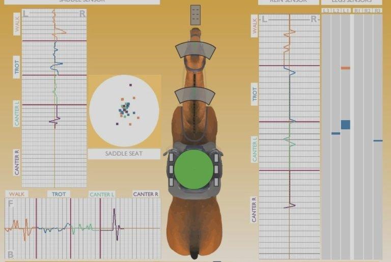 Reading Your Results