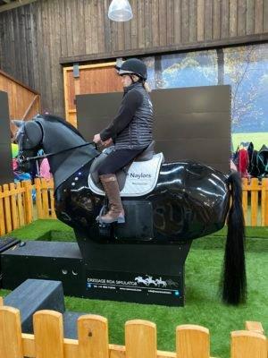 Simulator Sensors - The Reins