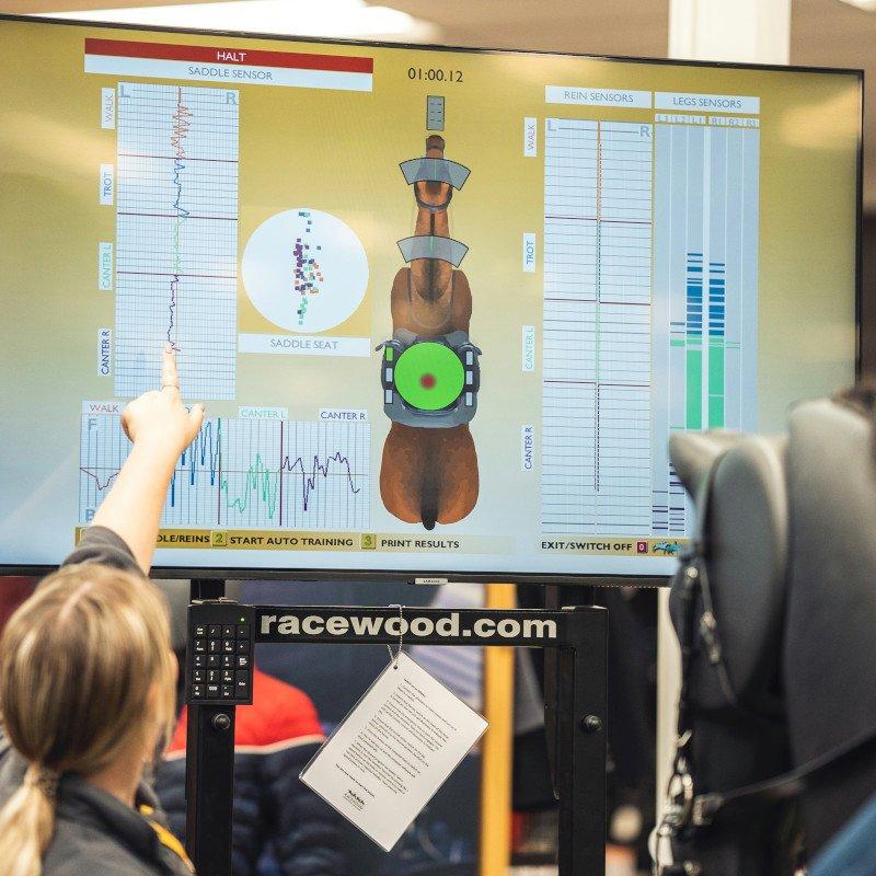 Horse Simulator Results - Naylors at Go Outdoors