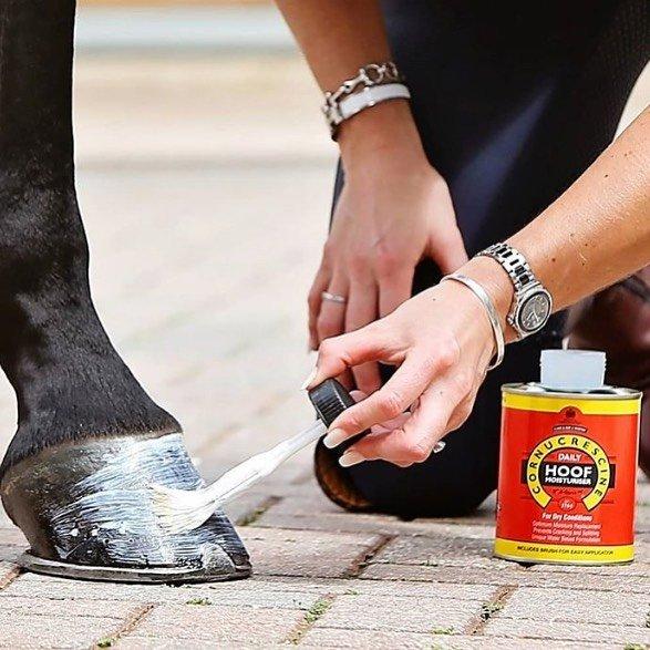 Hoof Care For Horses