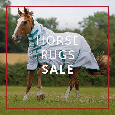 Shop Horse Sale