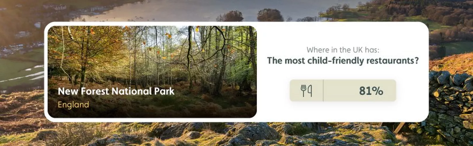 New Forest Restaurants