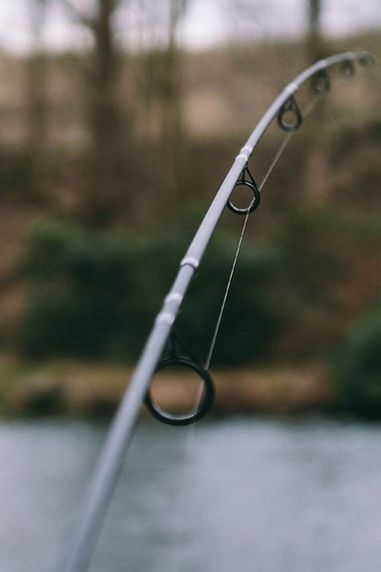 The Top 10 Best Fishing Rods for Carp, Sea, Coarse & Fly Fishing