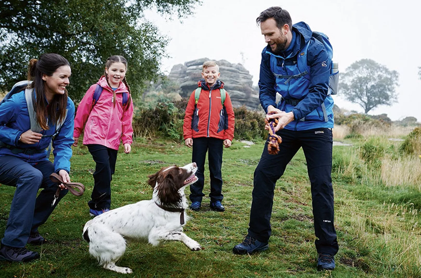 Family Dog Blog