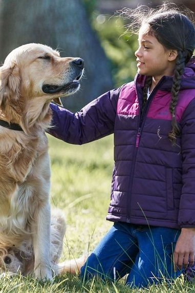 Top 10 Favourite Outdoor Dogs