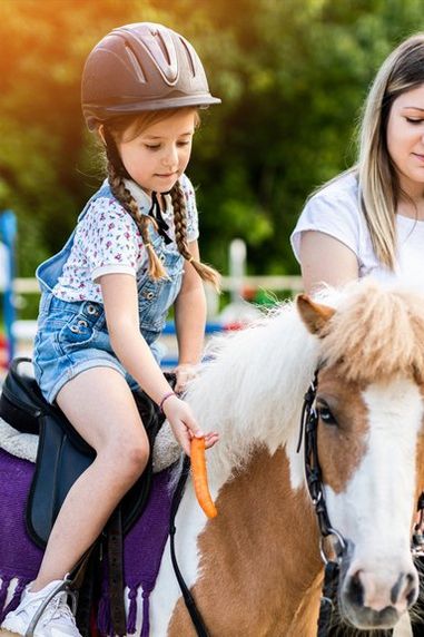 Made For Adventure: Discover the Best Horse Riding Schools for Families in the UK