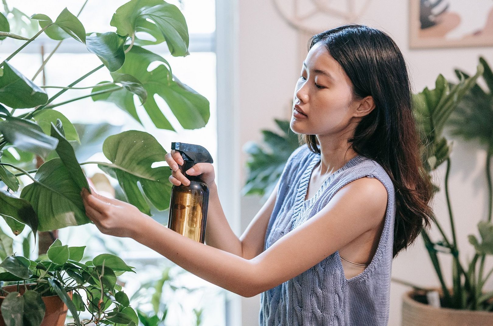 A picture of someone watering their plants