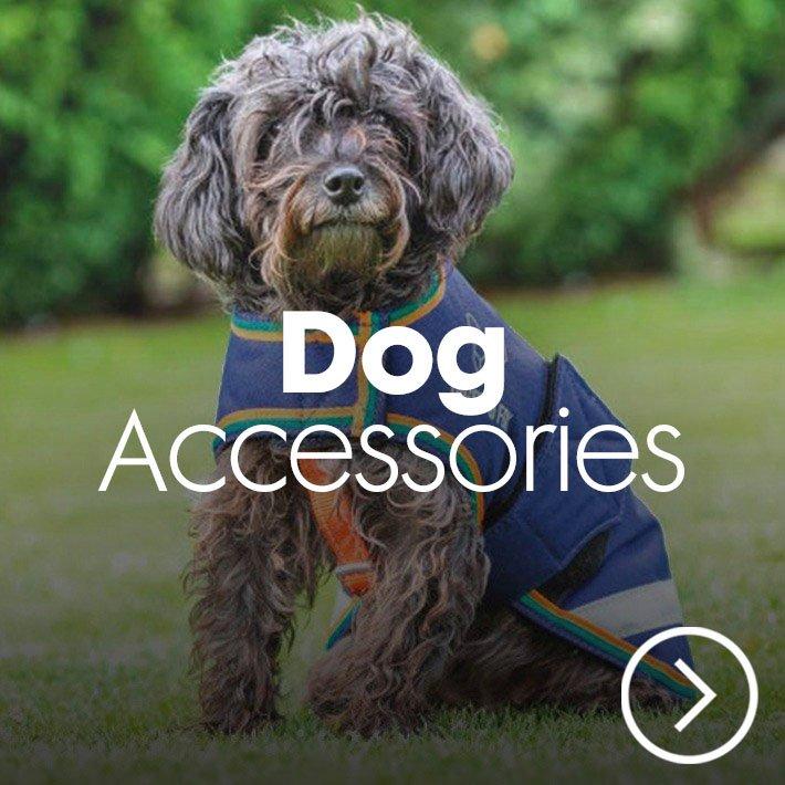 Shop Dog Accessories