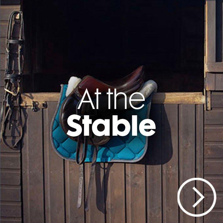 Shop Horse Riding At The Stable