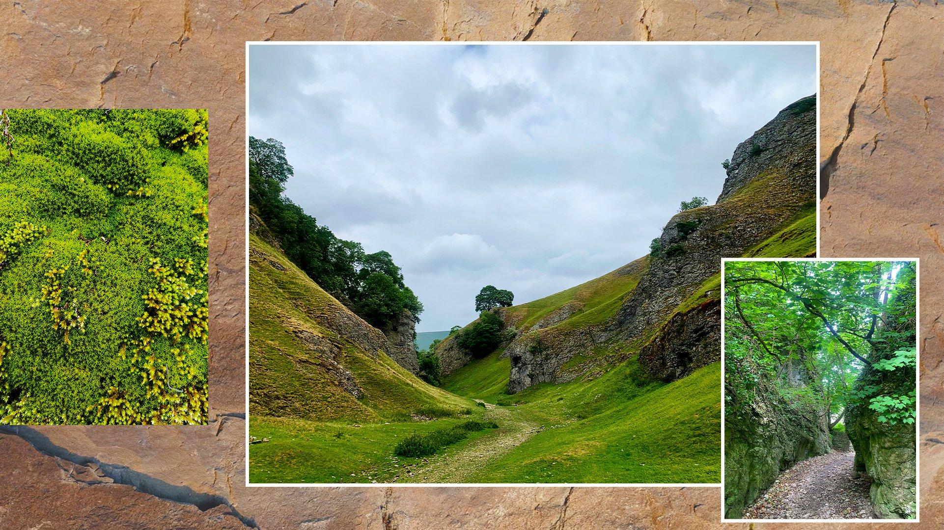 A selection of photos of the Back Way to Castleton walking trail in The Peak District