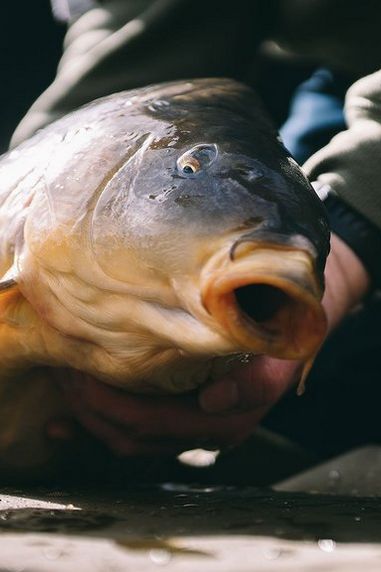 Angling Advice: How to Beat Your PB