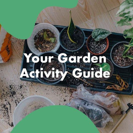 Planting Basics – Your Gardening Activity Guide