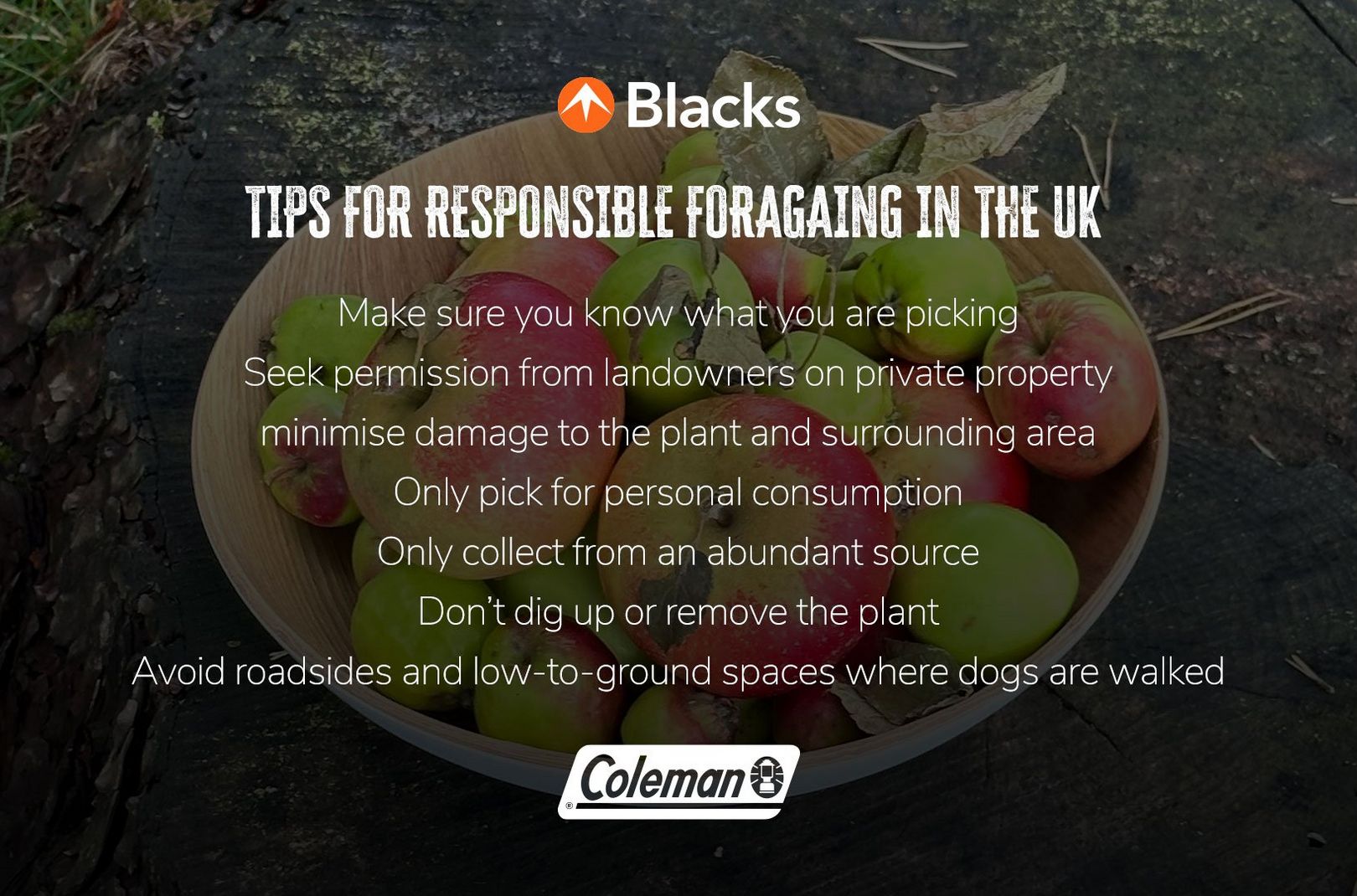 An infographic containing tips on how to forage foods responsibly in the UK
