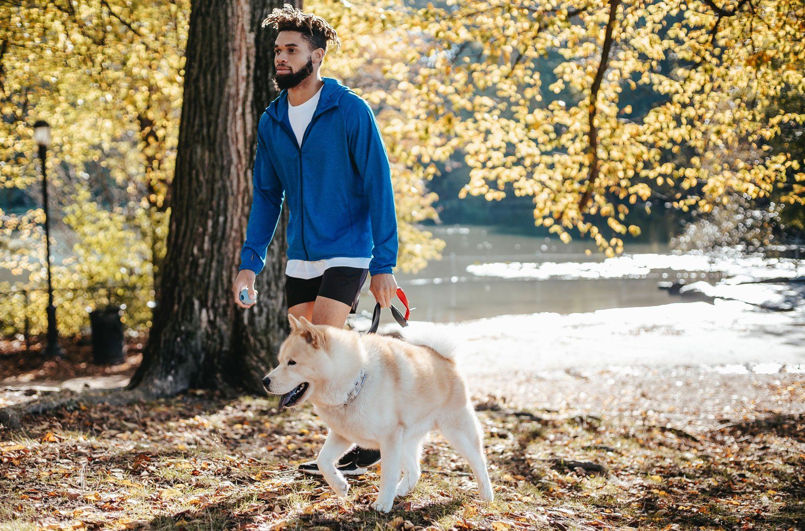 A person walking a dog in a forest.