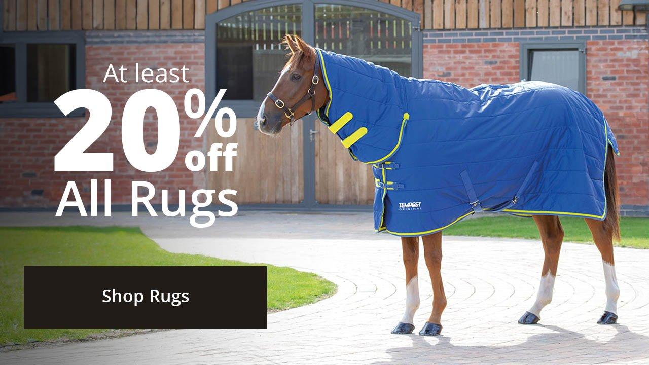 At least 20 percent off all rugs - Shop Rugs