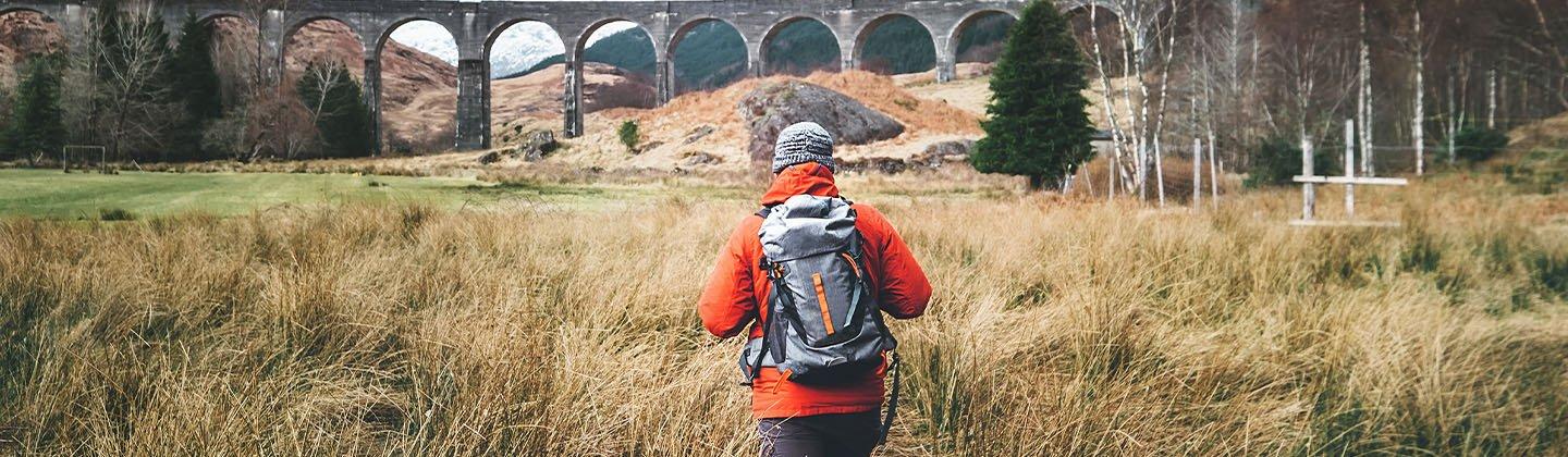Person walking through a field with a viaduct in the distance