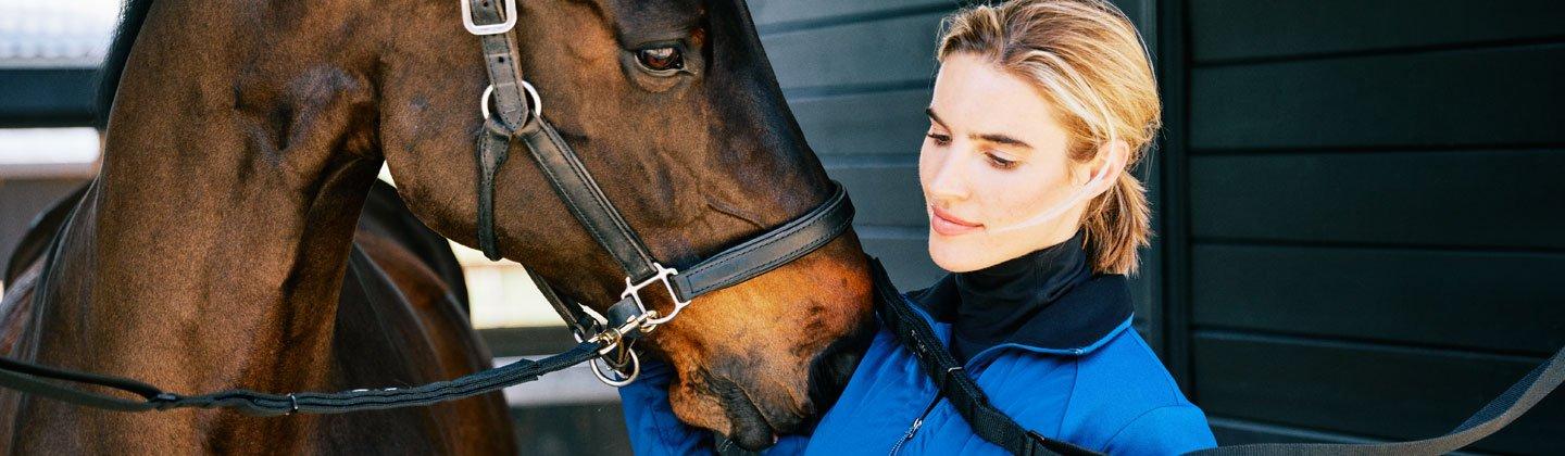 A photo of person and a horse in a stable setting