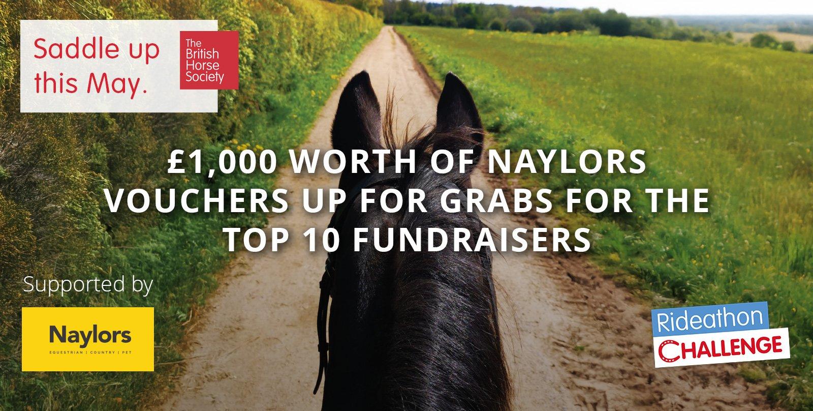Naylors Equestrian | Tack & Saddlery | Up to 60% Off