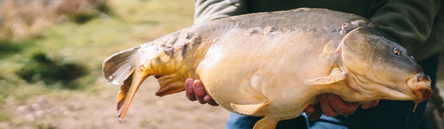 A person casting their fishing rod into water