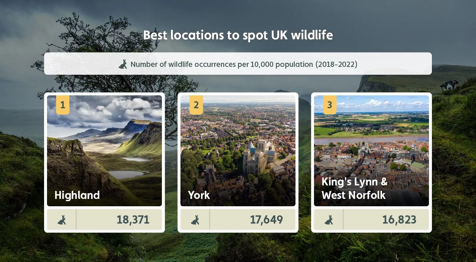 Best Locations to Spot UK Wildlife
