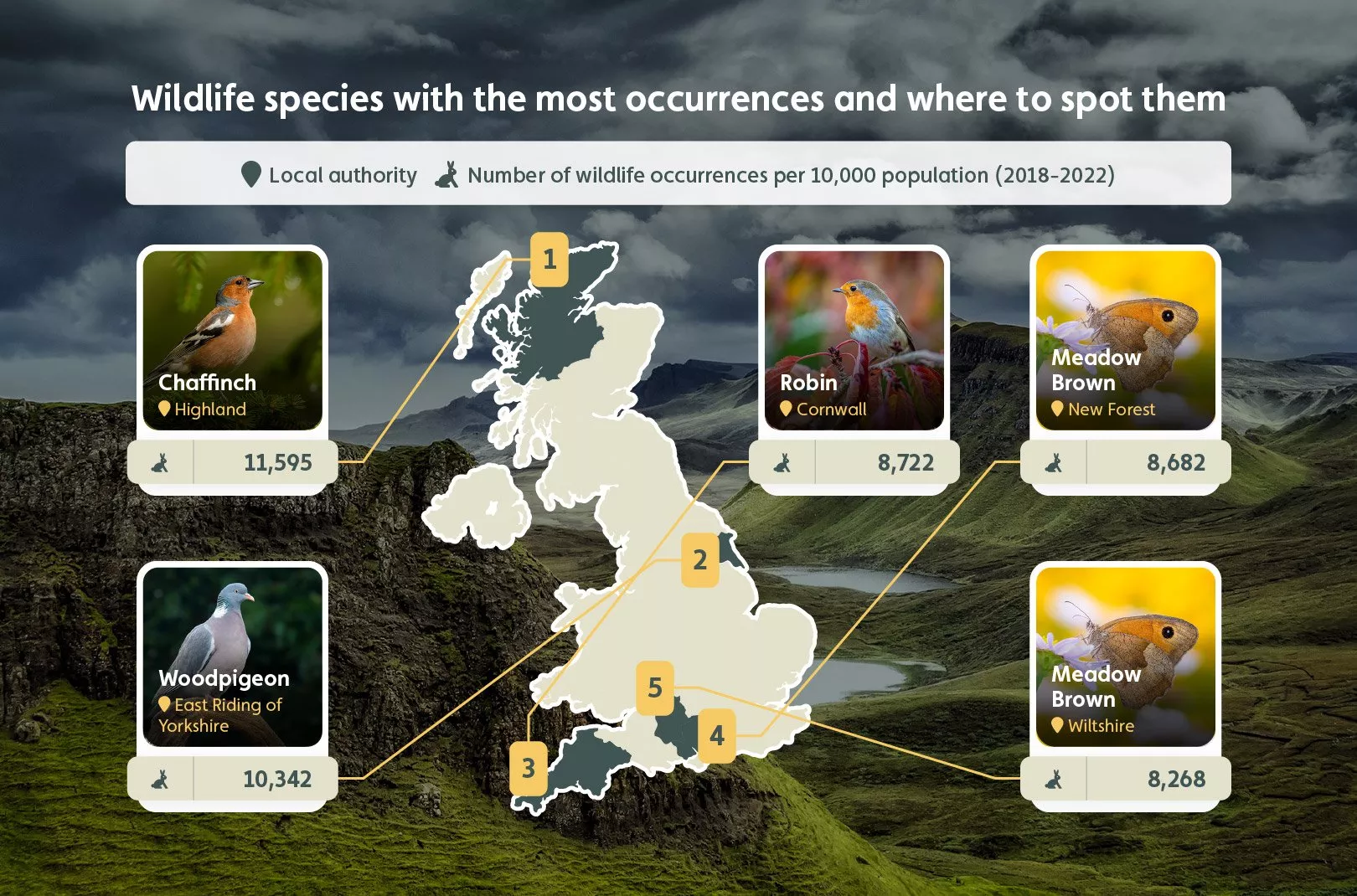 Wildlife species with the most occurrences and where to spot them