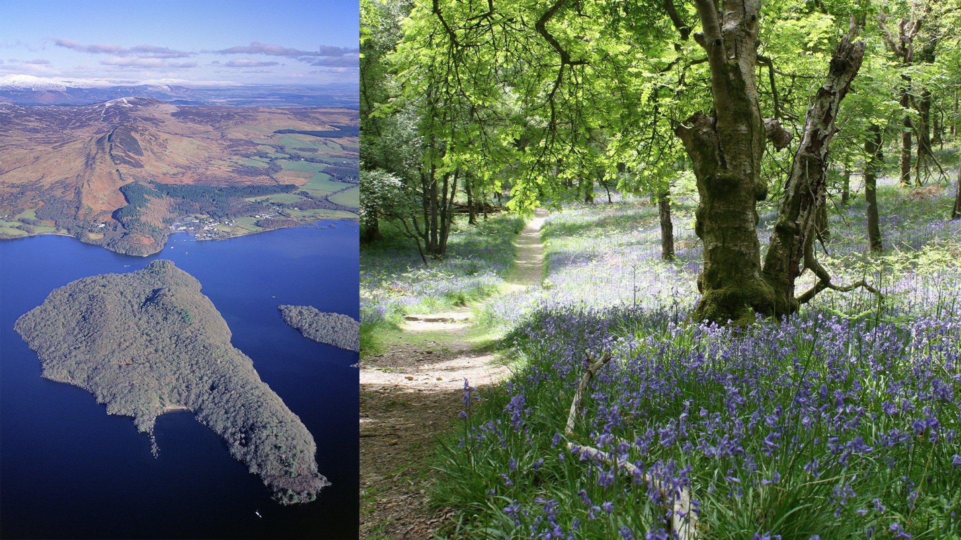 a tent pitched at Inchcailloch in Loch Lomond and The Trossachs National Park