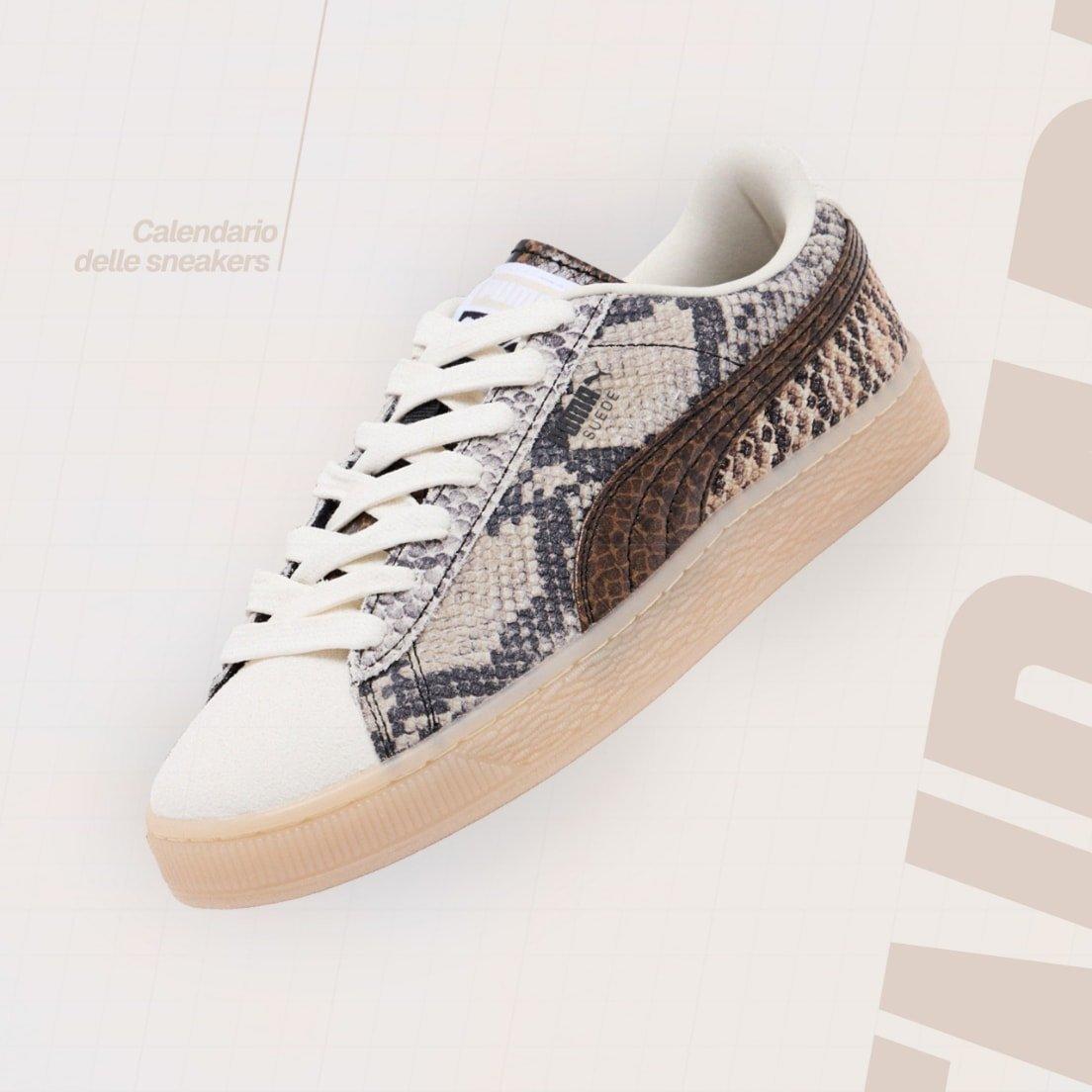 NEW IN TRAINER