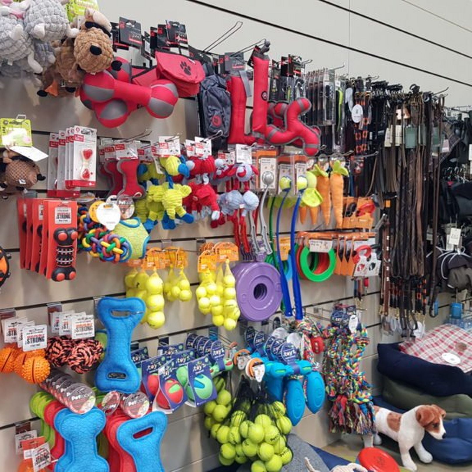 A Range of Pet Products Including Toys, Beds and Accessories