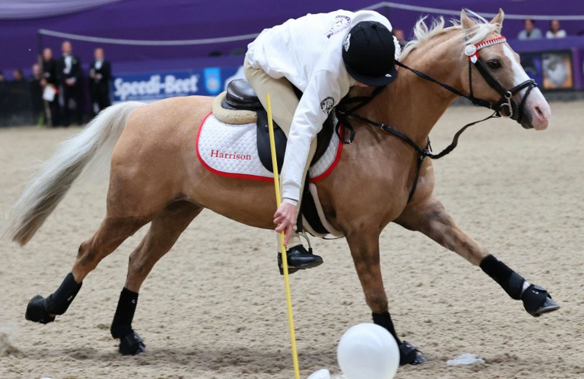 HOYS 2022 - Naylors Sponsor  Pony Club Mounted Games