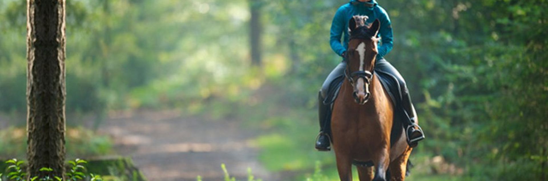 Adjustable Saddles – A Horse Rider’s Dream