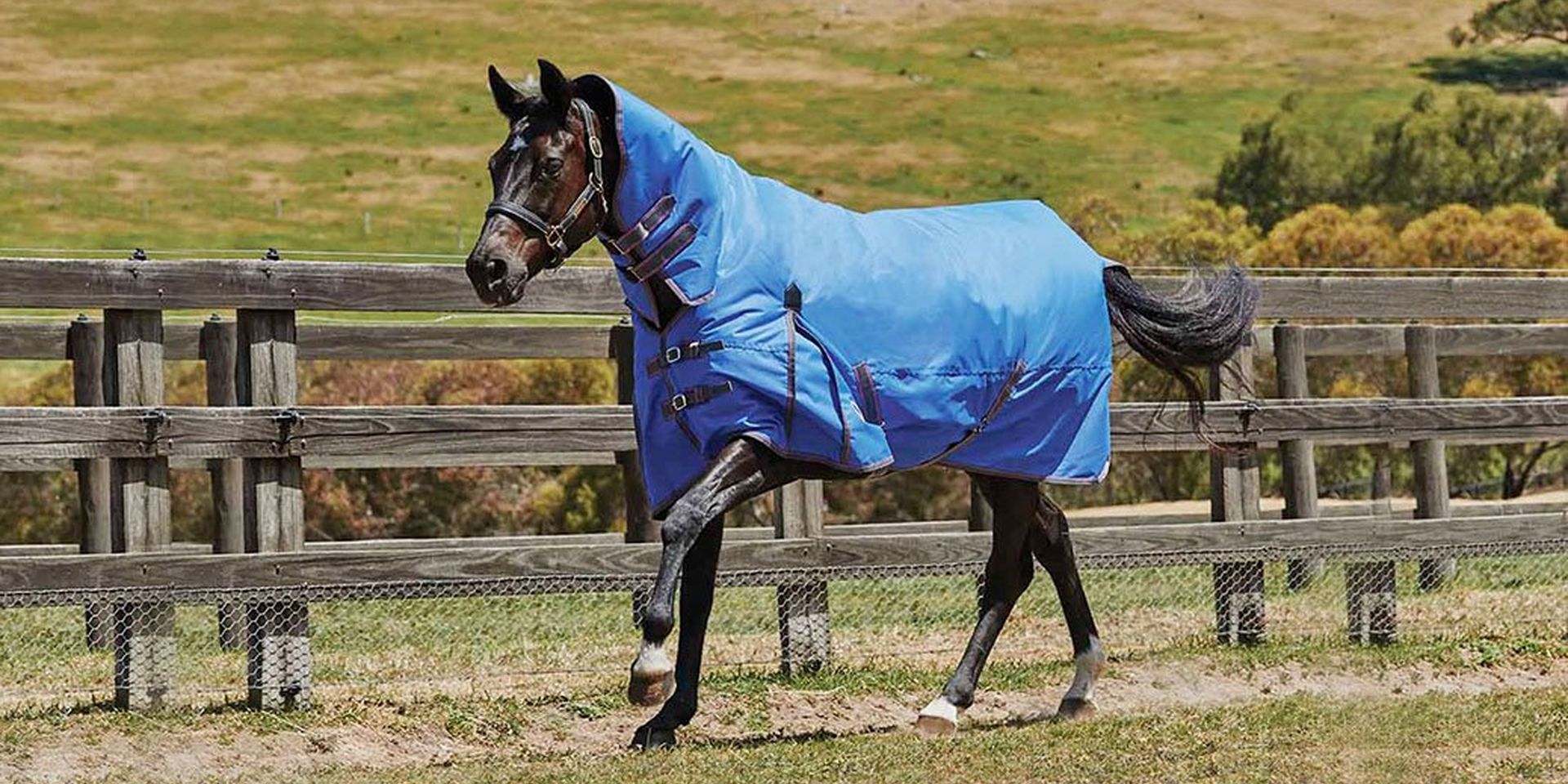 Horse Rug Guide Autumn/Winter 2016