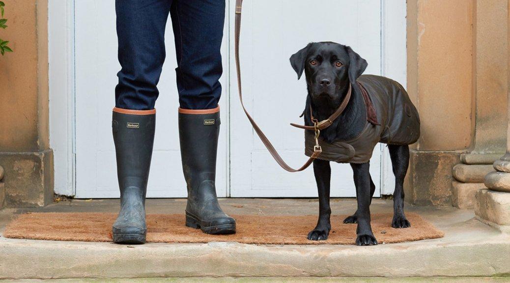 Purple barbour dog coat online