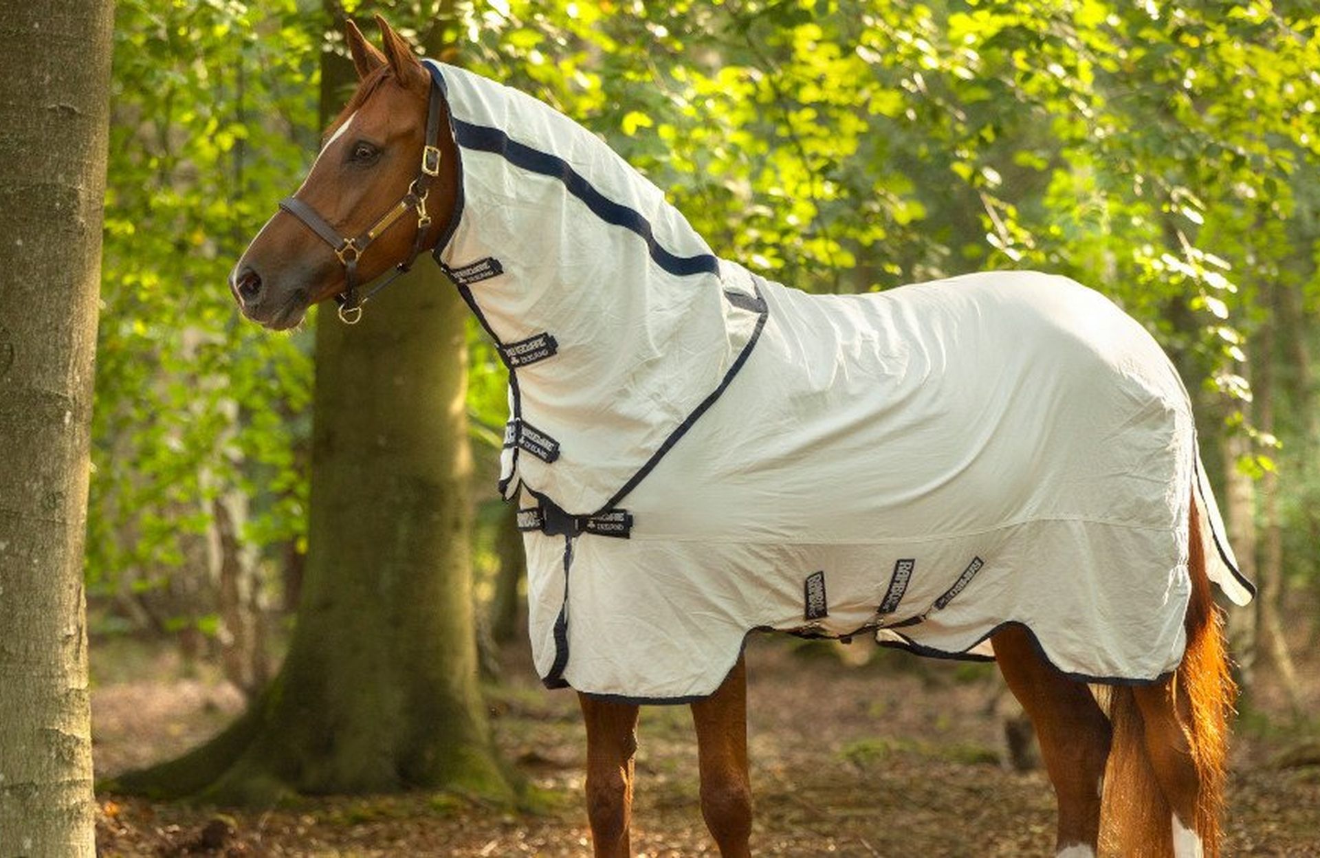 Beat The Bugs – Our Top Fly Rug Picks