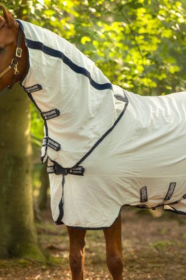 Beat The Bugs – Our Top Fly Rug Picks