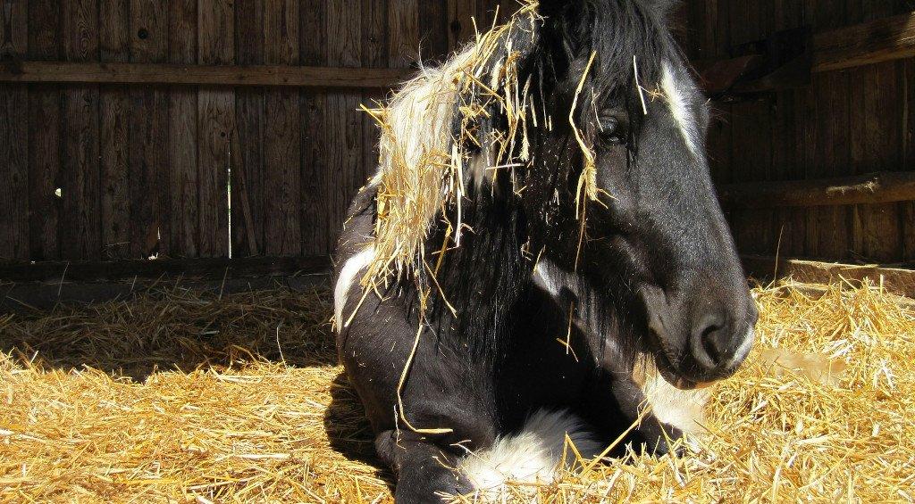 Better Bedding Our Guide Naylors Blog Naylors