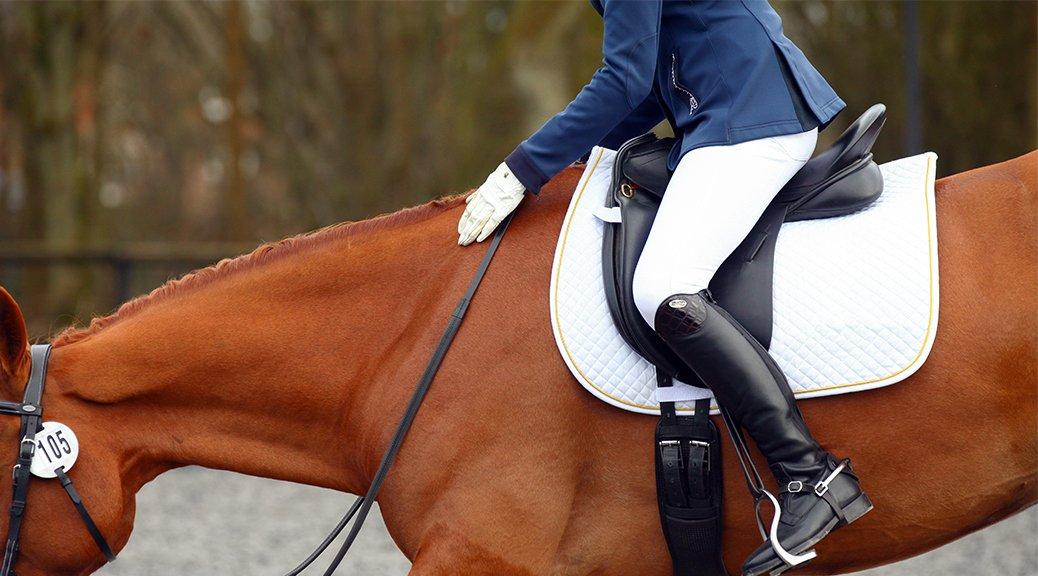 British Dressage Rule Changes for 2018 Naylors Blog Naylors