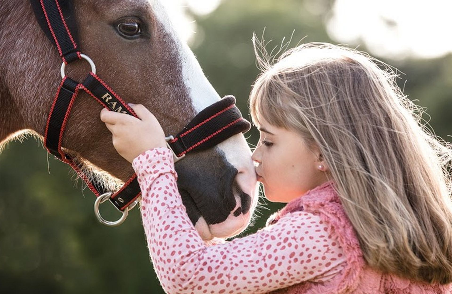 Caring For Your Older Horse