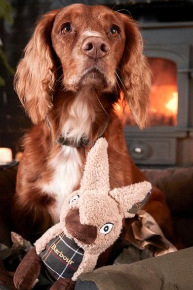 Gifts For Dogs – Christmas, Covered!