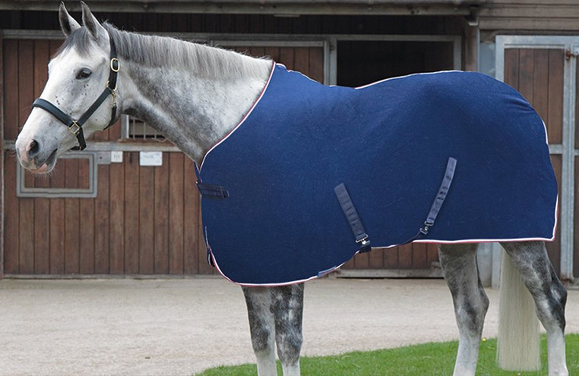 Making Grey Horses Clean – Tried and Tested Products