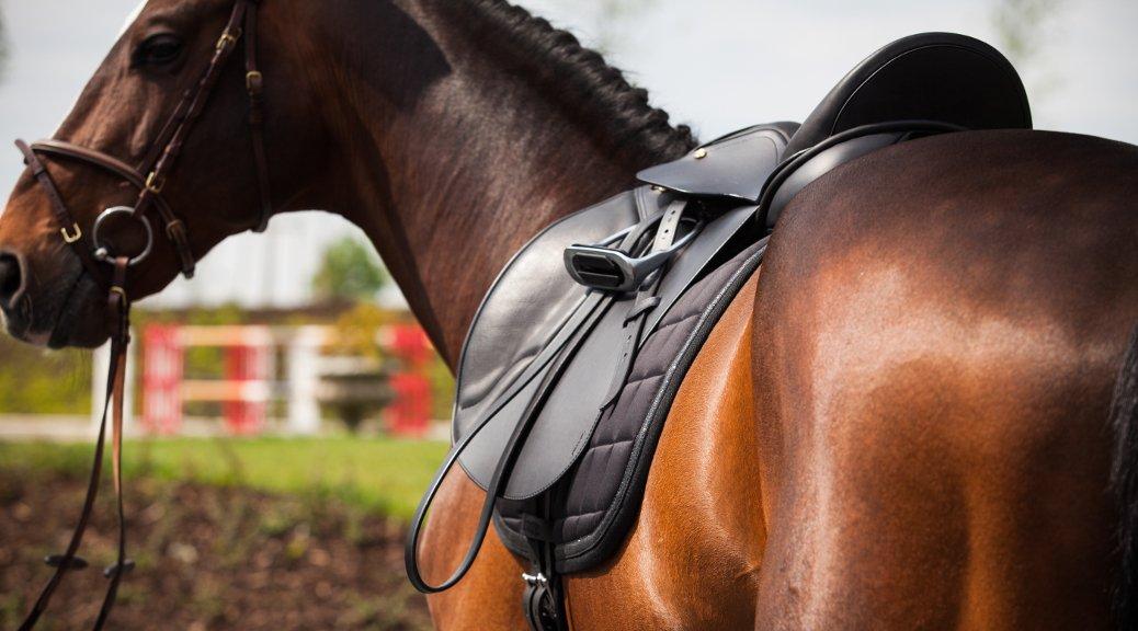 Correctly Fitting Tack and Why It’s Important Naylors Blog Naylors