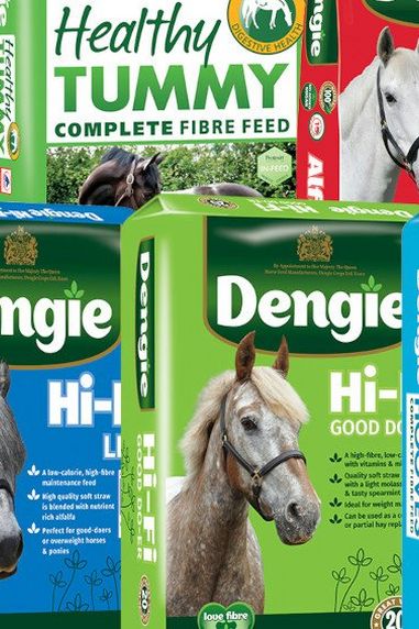 Dengie Horse Feeds – Feeding Fibre First!