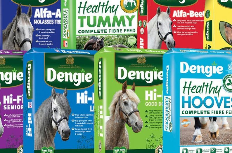 Dengie Horse Feeds – Feeding Fibre First!