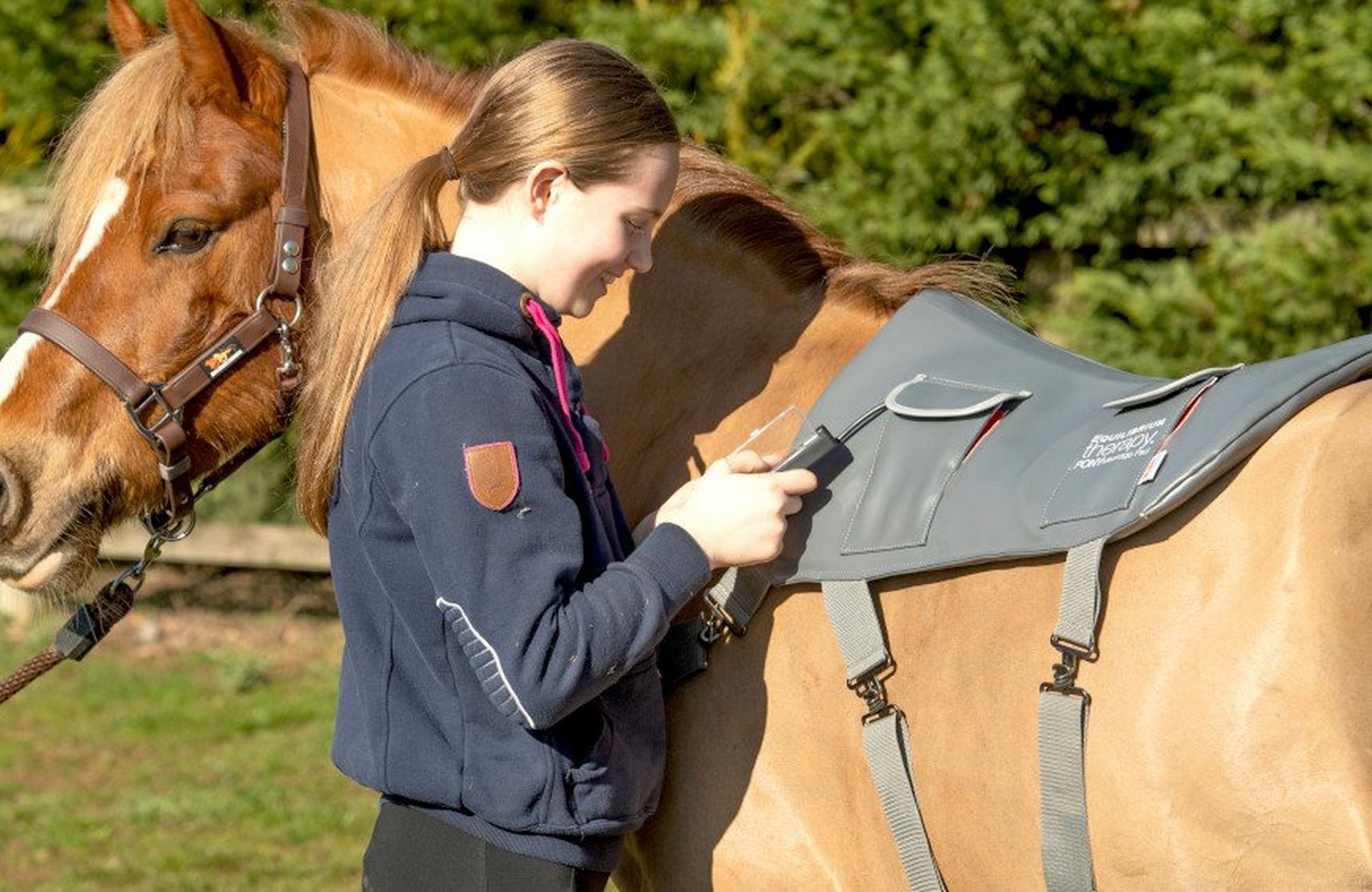 Equilibrium Massage & Magnets For Your Horse