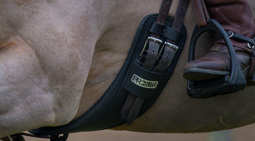 Girths Choosing The Right One For Your Horse Naylors Blog Naylors