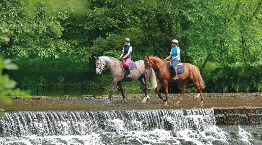 Horse Riding Just How Good Is Horse Riding For Our Health? Naylors